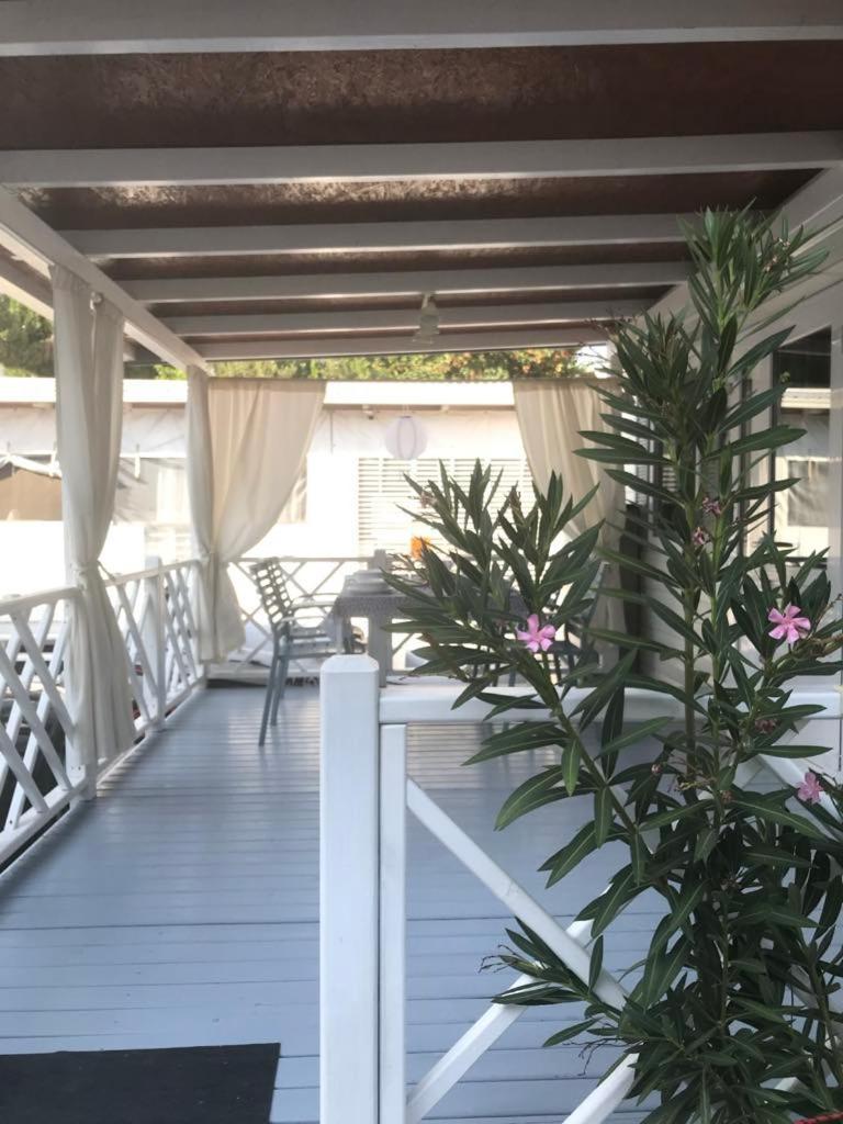 Apartman As Pirovac Kültér fotó
